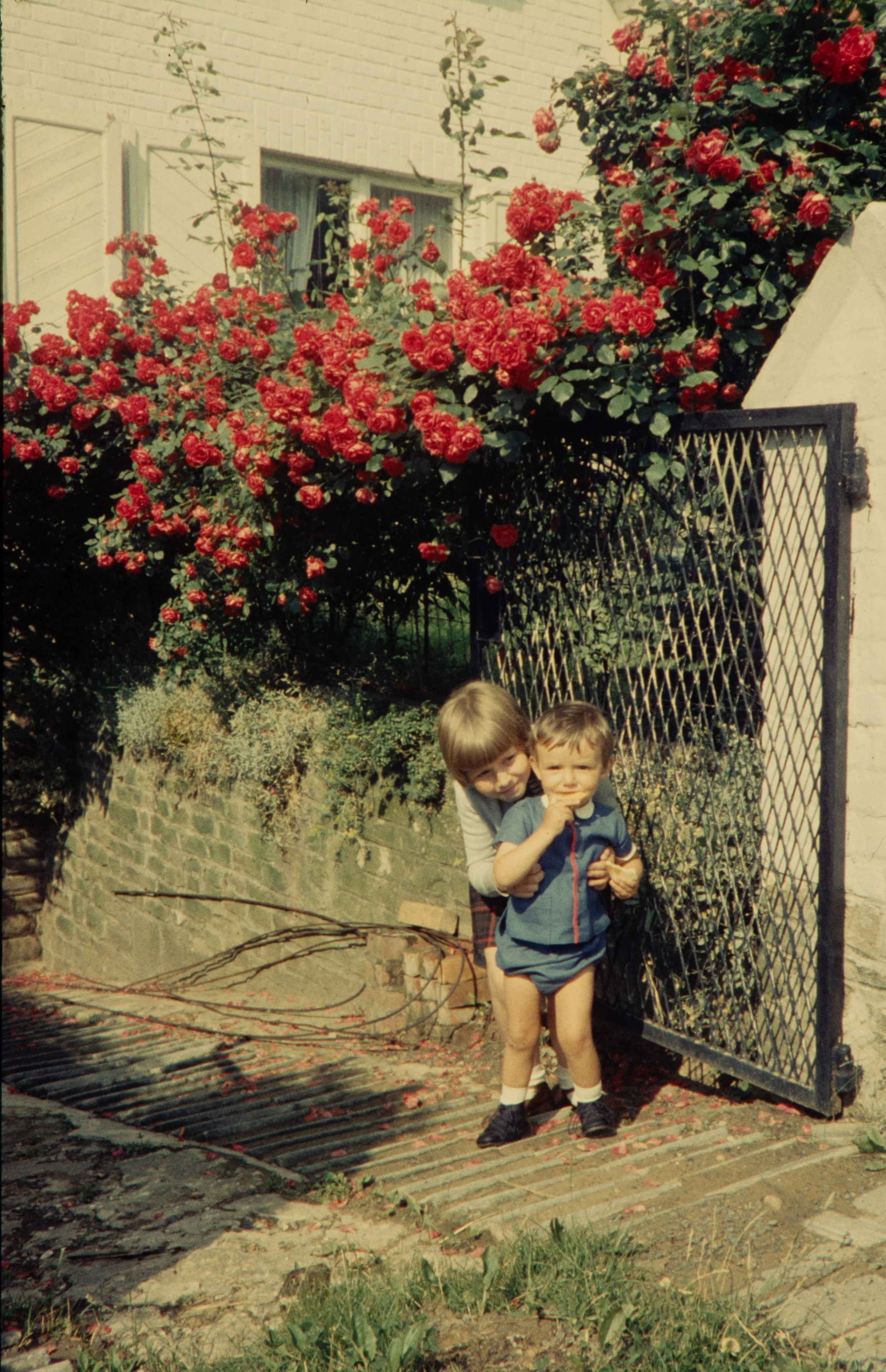 FAM-Archive BRICTEUX - Dreve Pittoresque 60-65 3152 LowRes.jpg