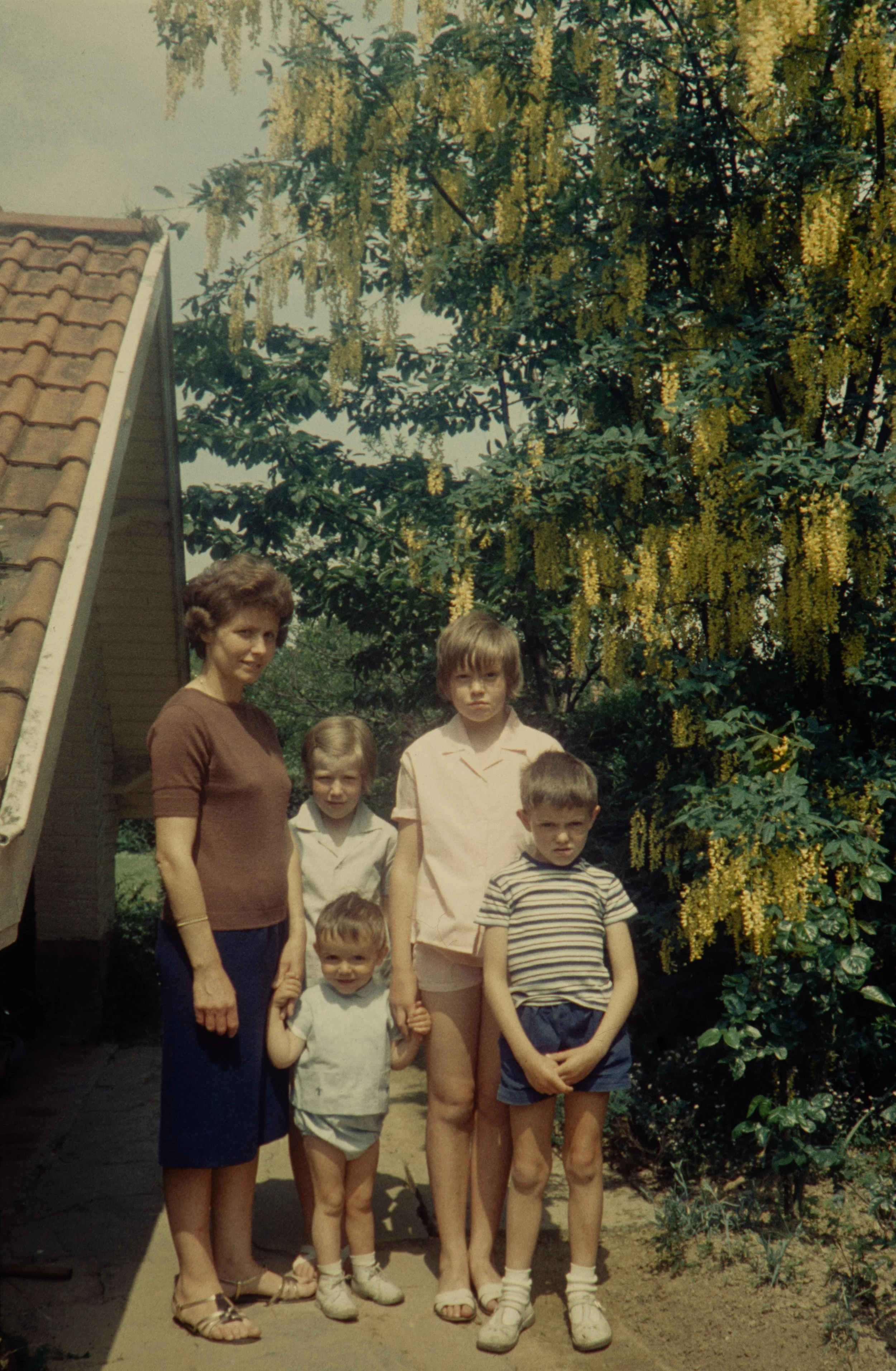 FAM-Archive BRICTEUX - Dreve Pittoresque 60-65 3154 LowRes.jpg