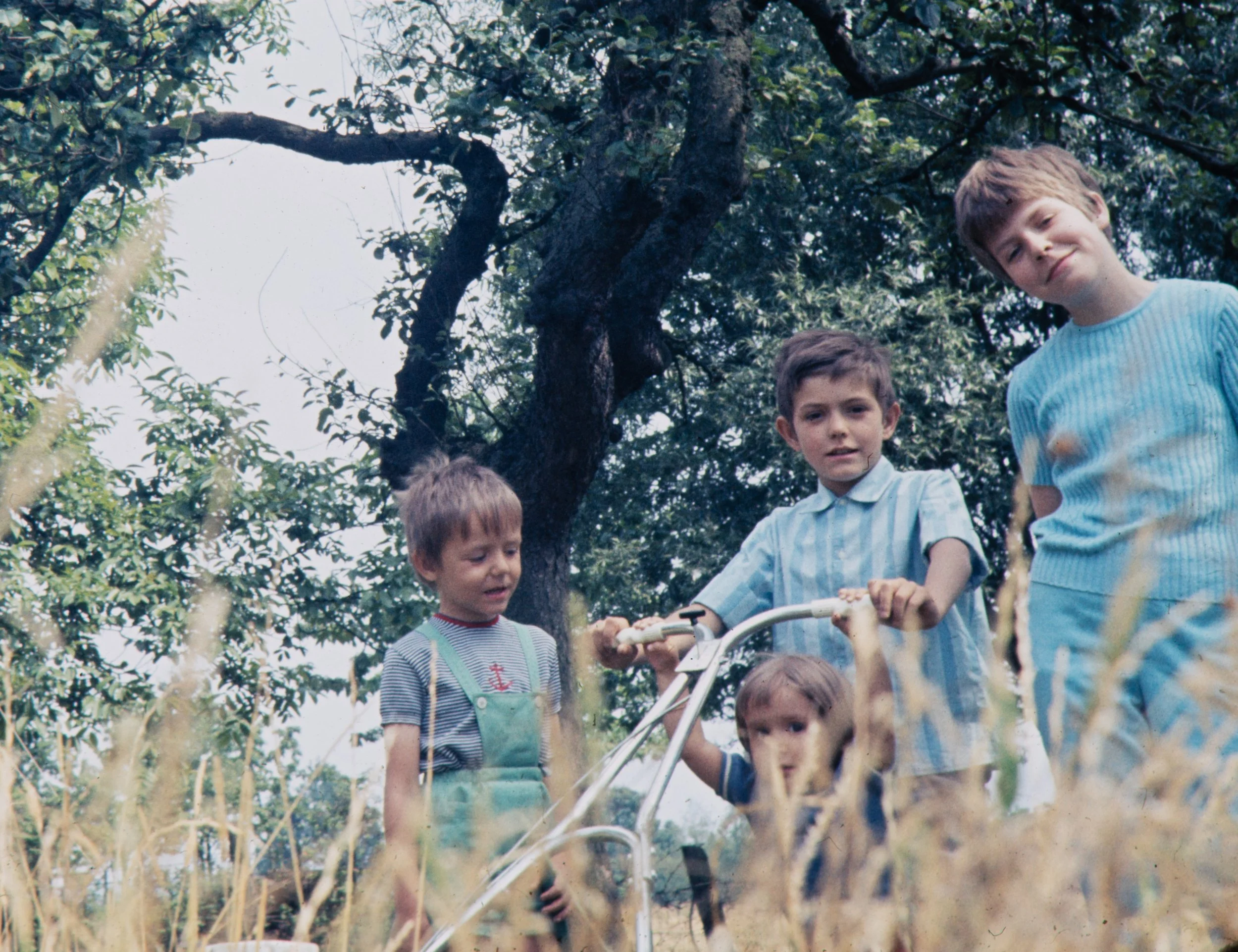 FAM-Archive BRICTEUX - Waterpoel - Suxy 3093 LowRes.jpg