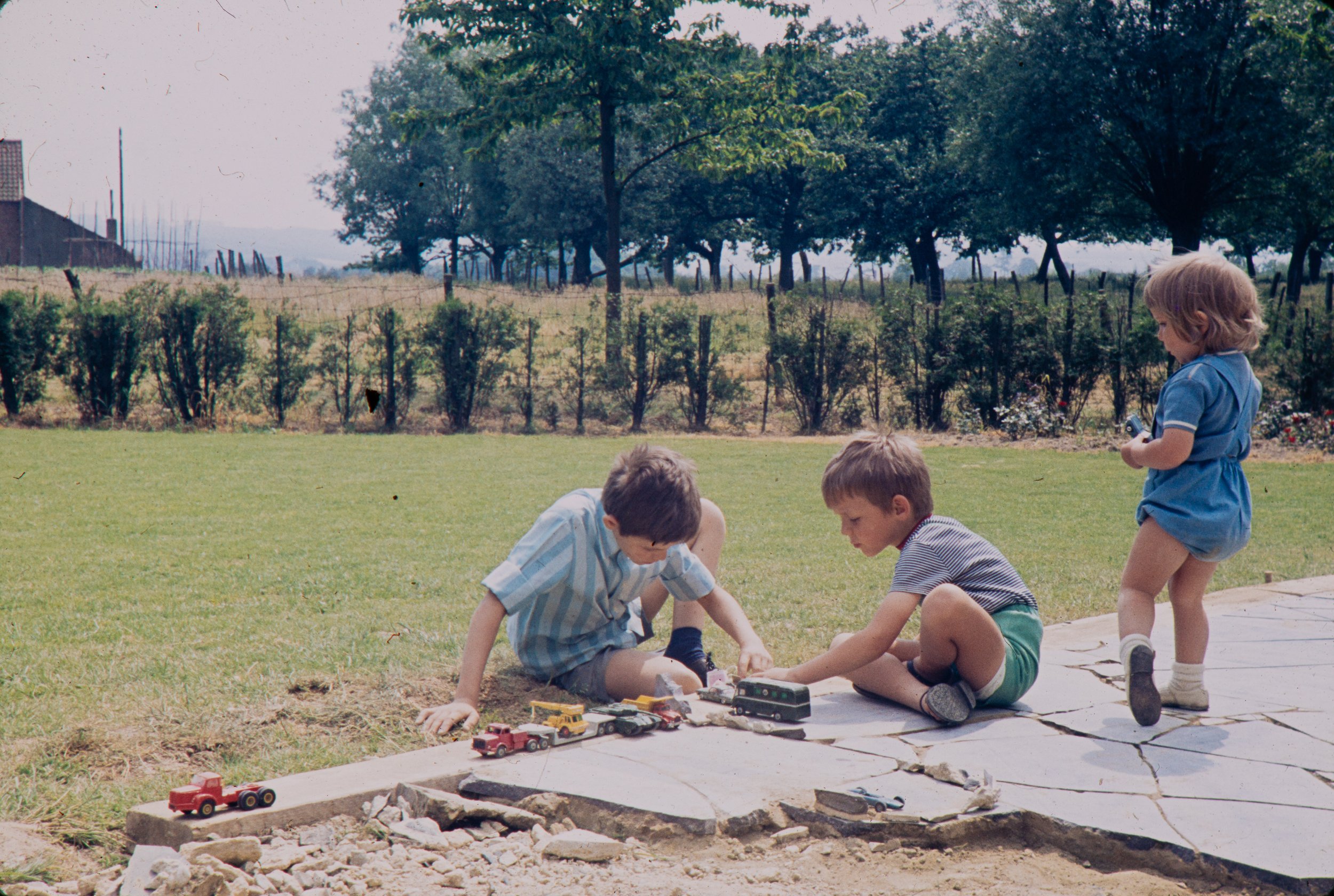 FAM-Archive BRICTEUX - Waterpoel - Suxy 3111 LowRes.jpg