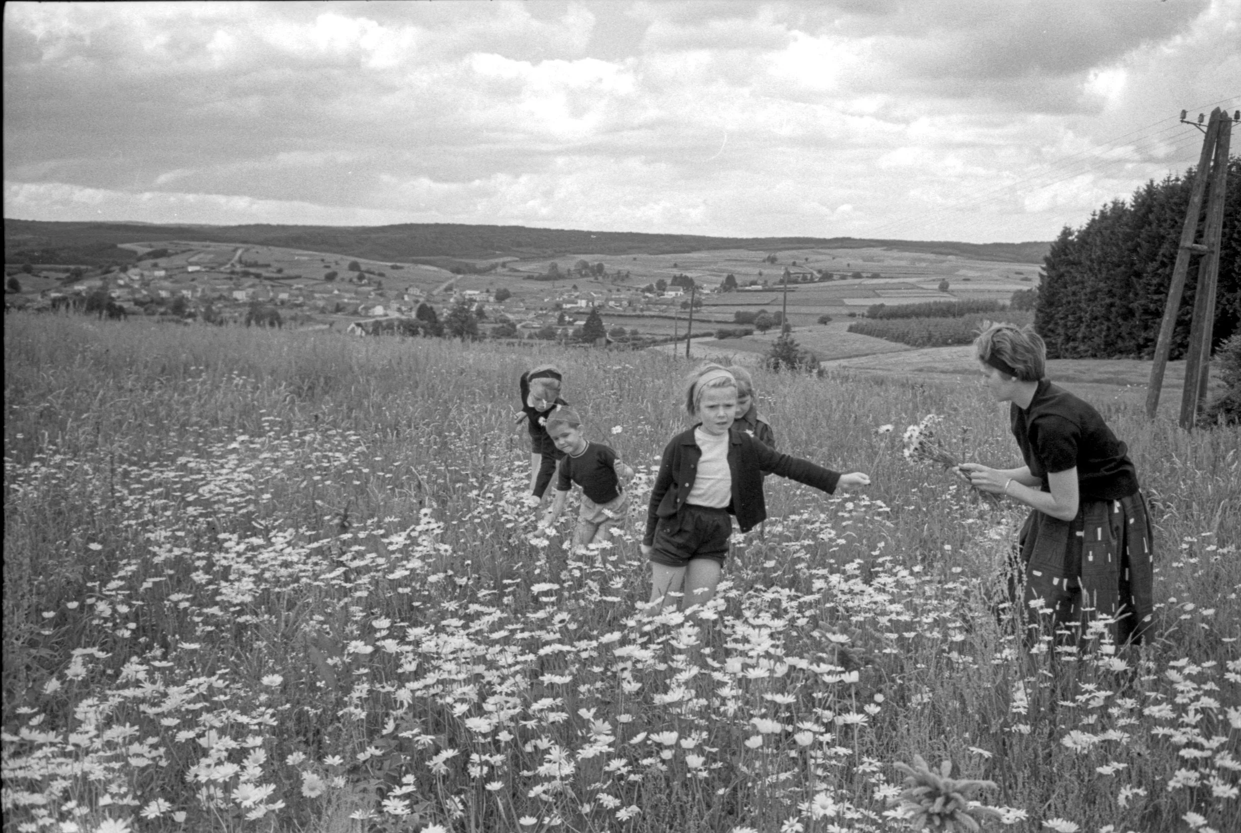 FAM-Archives Bricteux - Maman-Anne-Dominique-Paul dans les champs Suxy LowRes.jpg
