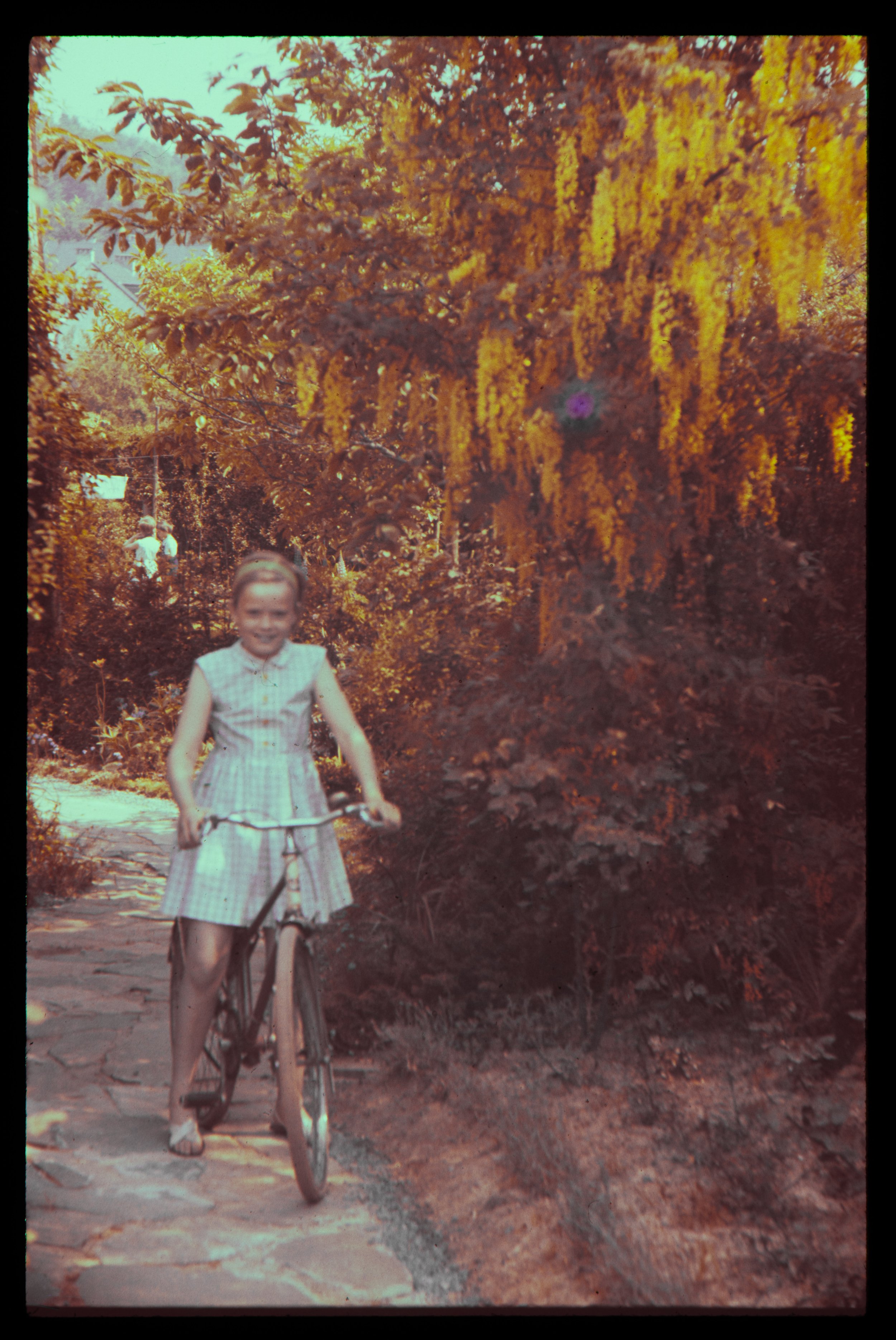 FAM-Archives Bricteux - scanned negatives 0016 LowRes.jpg