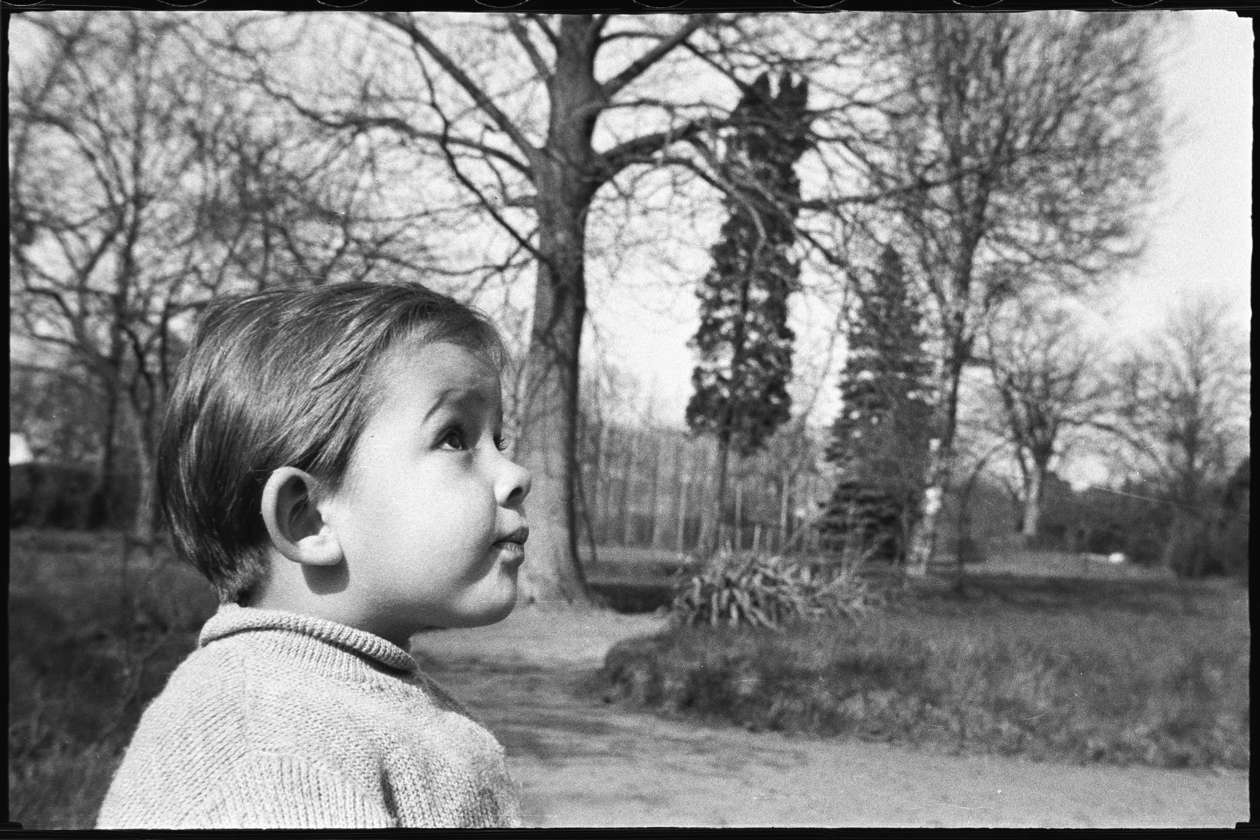FAM-Archives Bricteux -3389 LowRes.jpg