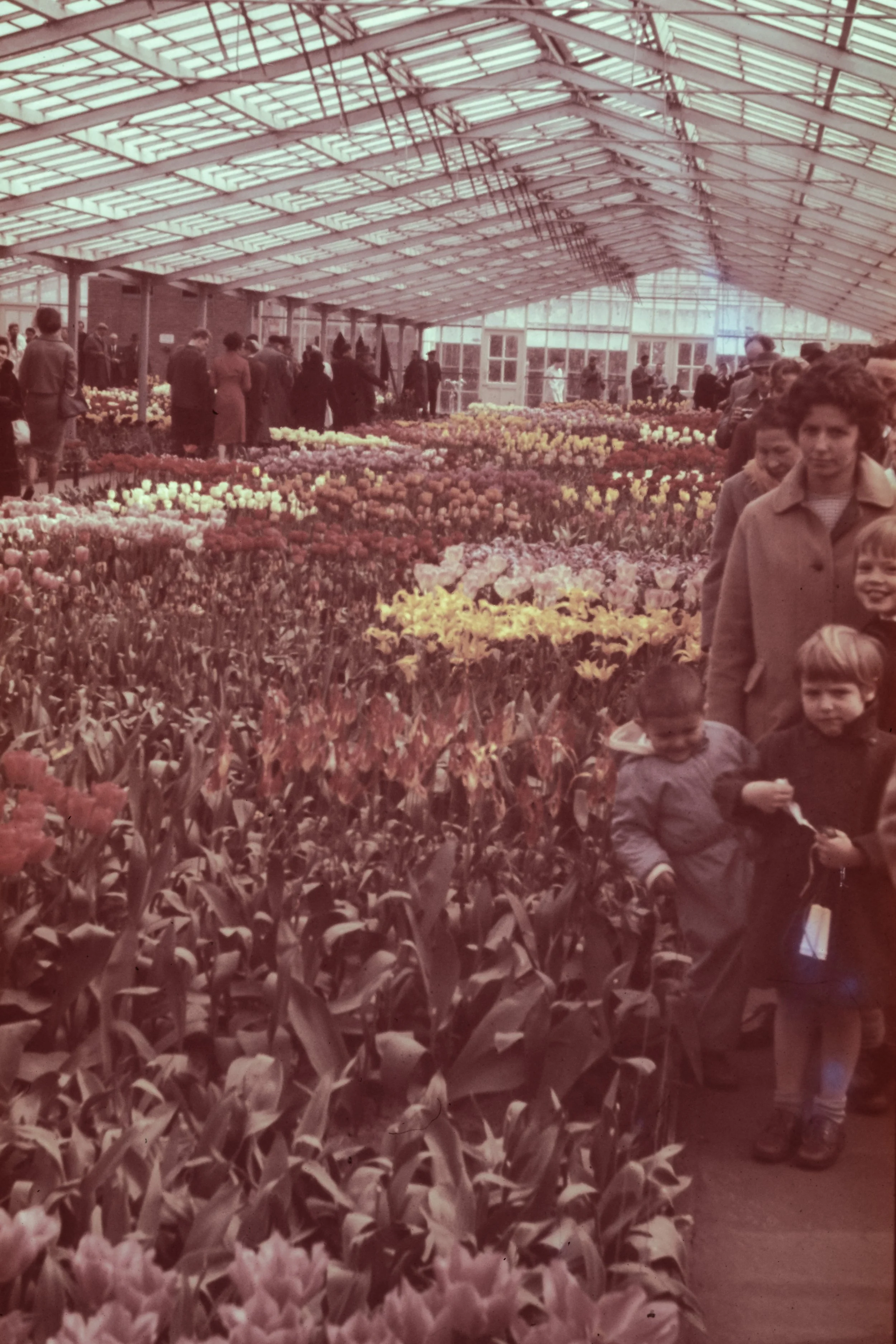 FAM-Archives Bricteux-365 LowRes.jpg