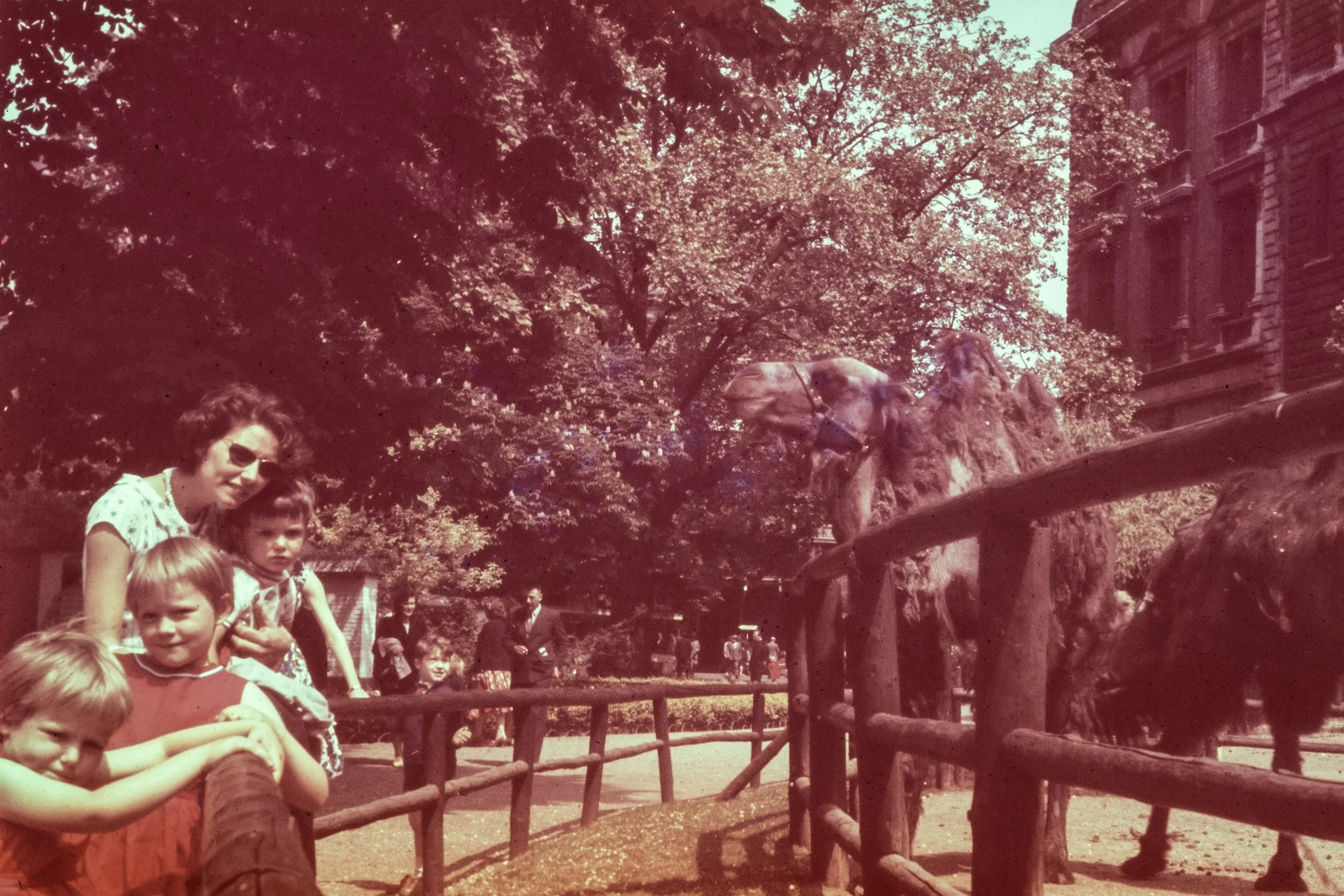 FAM-Archives Bricteux-366 LowRes.jpg