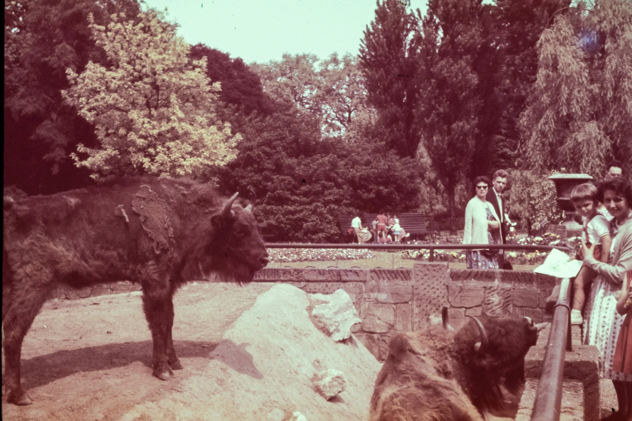 FAM-Archives Bricteux-368 LowRes.jpg