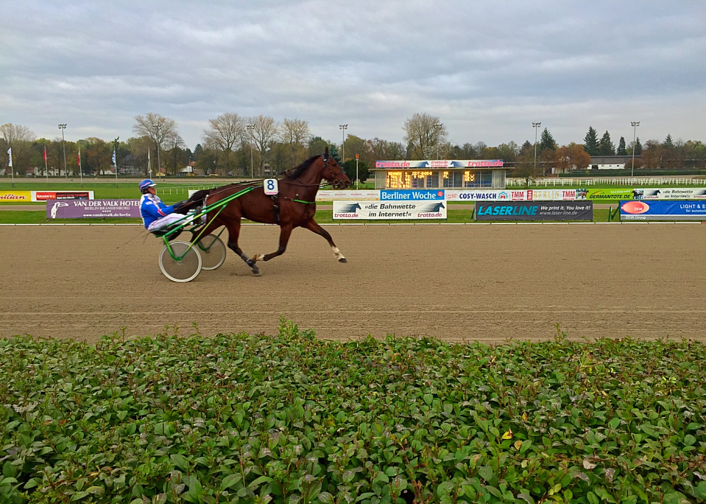 Trabrennbahn Mariendorf, 26.10.2014