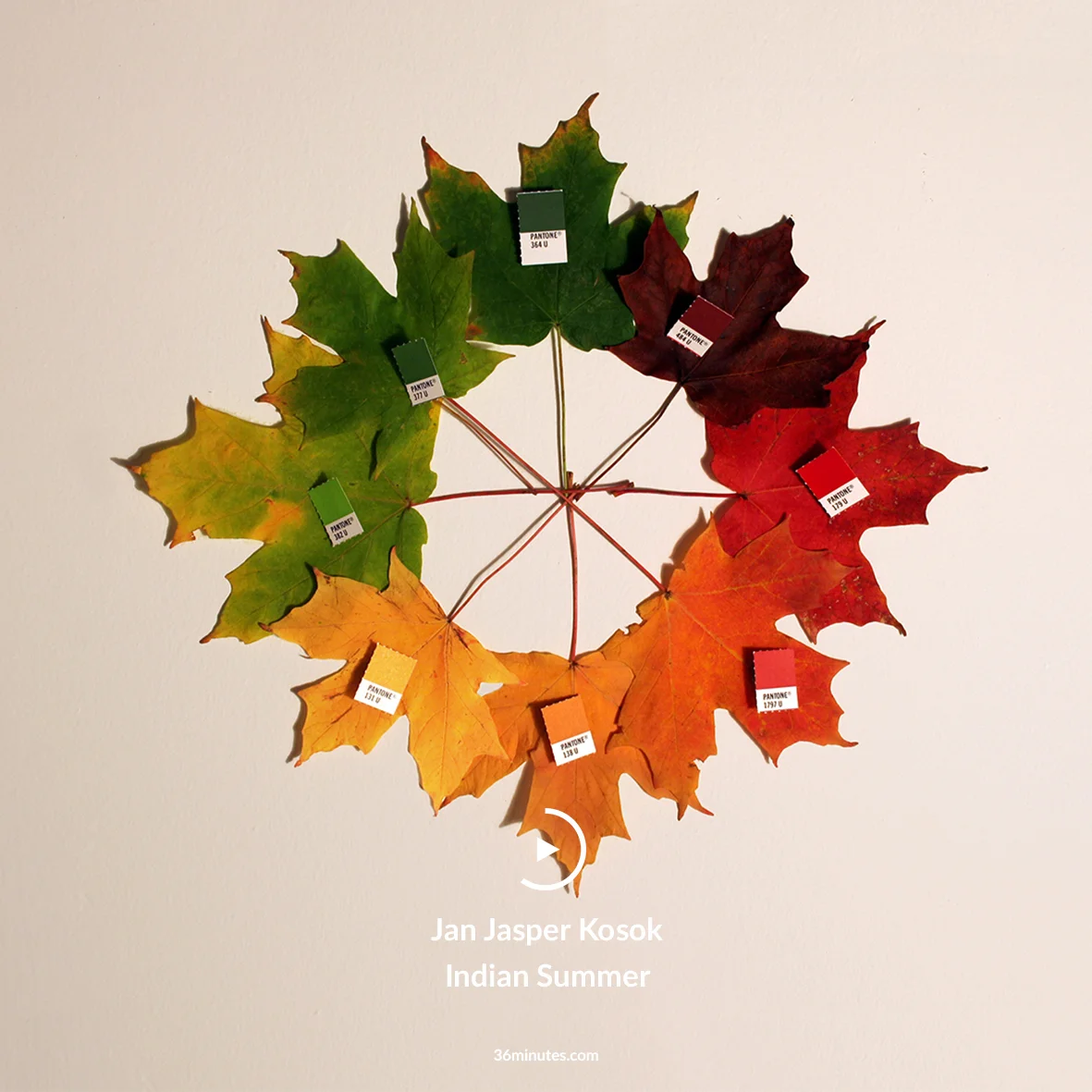 Jan Jasper Kosok | Indian Summer