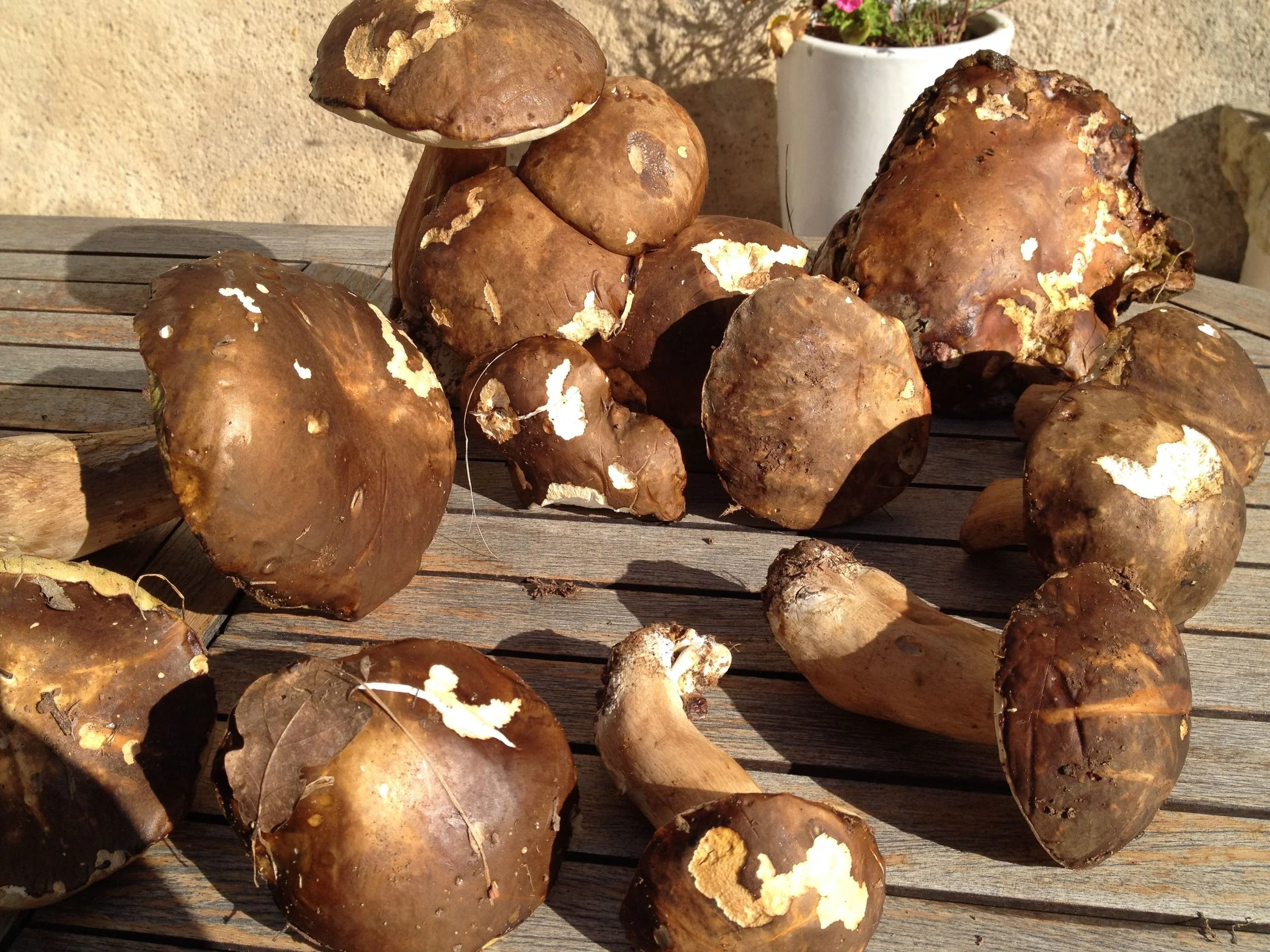 Private Retreat Organized in partnership with Paris by Design