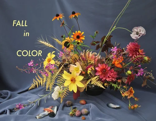 FALLinCOLORsmall.jpeg