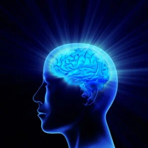 Brain learning.jpg
