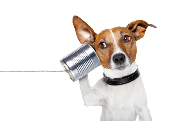 Communicating.jpg
