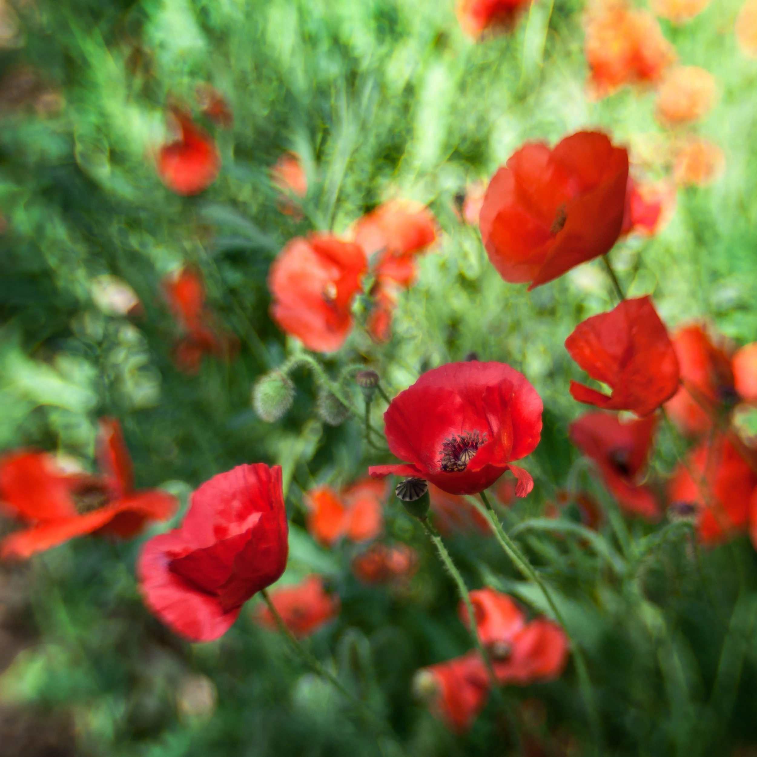 Free learning & development webinars for November 2015