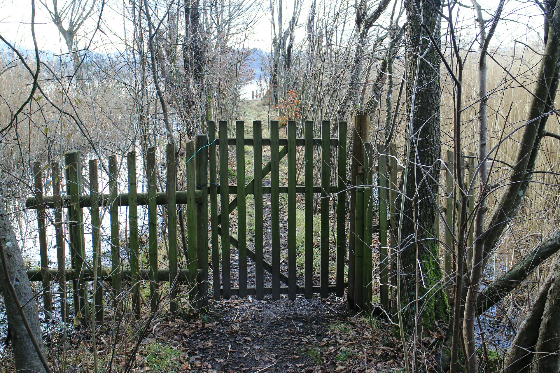 "Goal, Door, Input, Garden Door" by Manfred Antranias Zimmer is Public Domain.