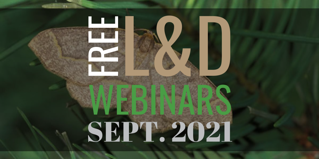 Free learning & development webinars for September 2021