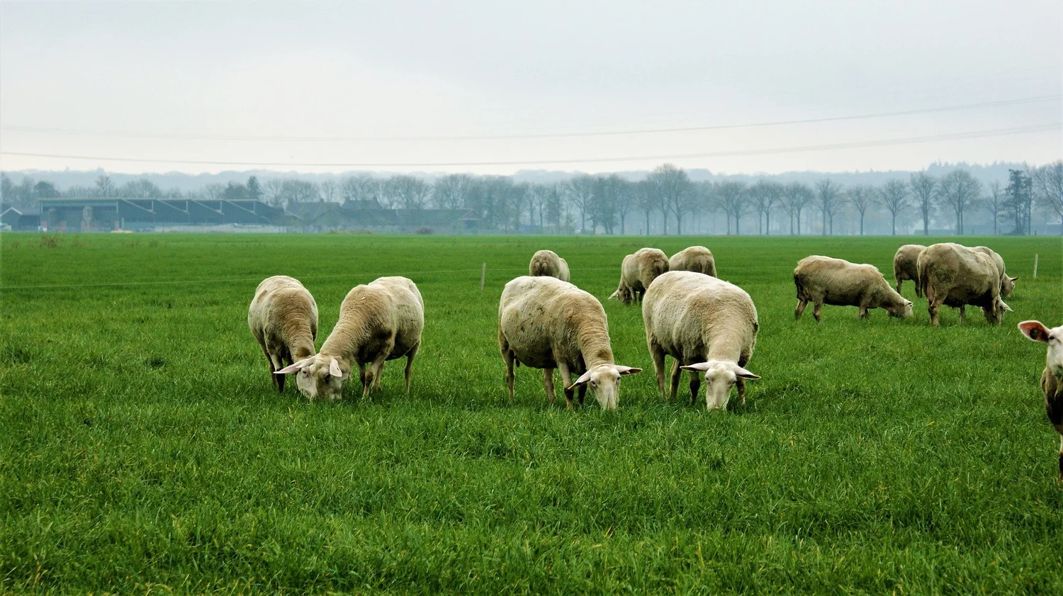 Learning & development conferences in 2023 • Elearning development