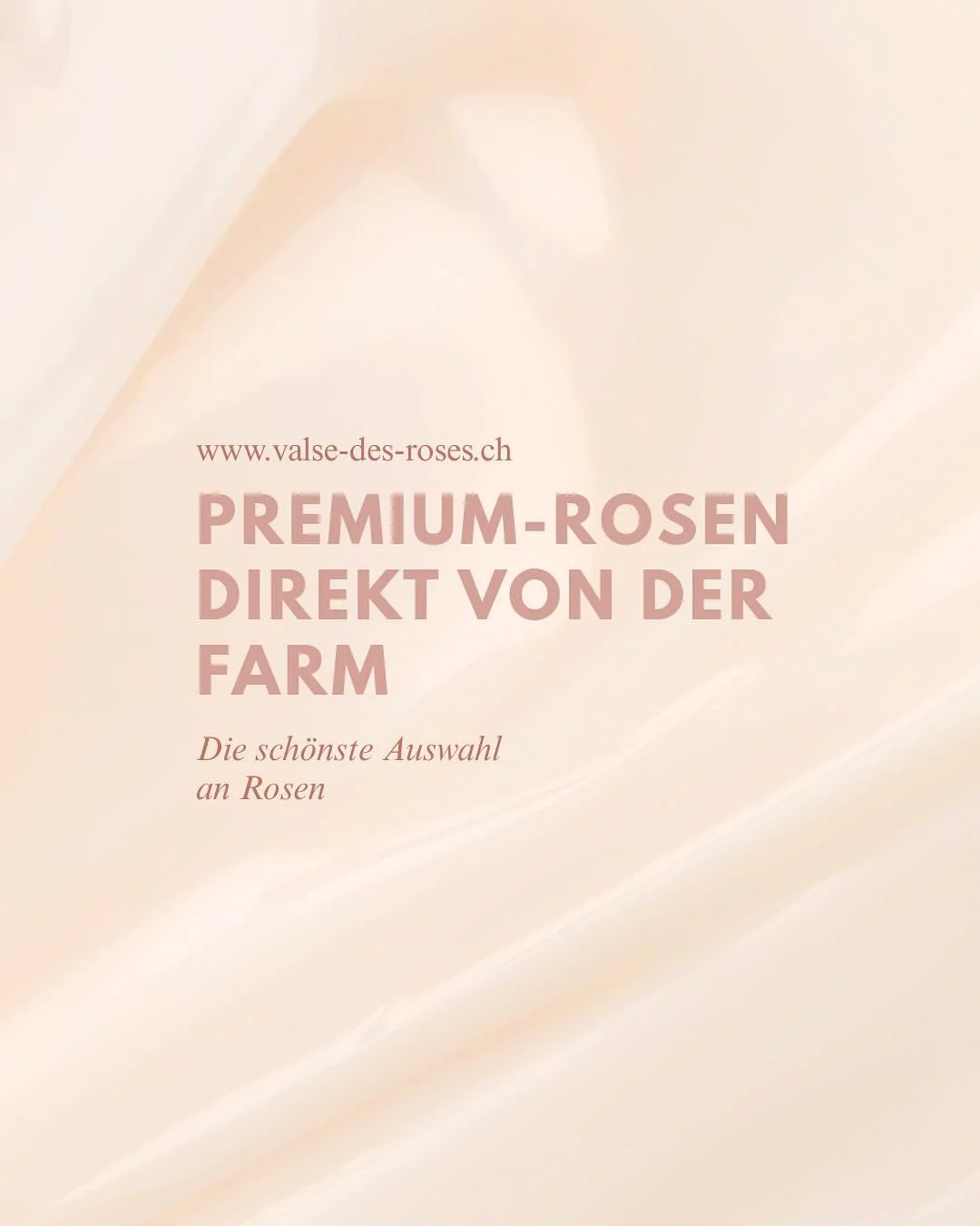 Qualit&auml;t steht an erster Stelle 💞