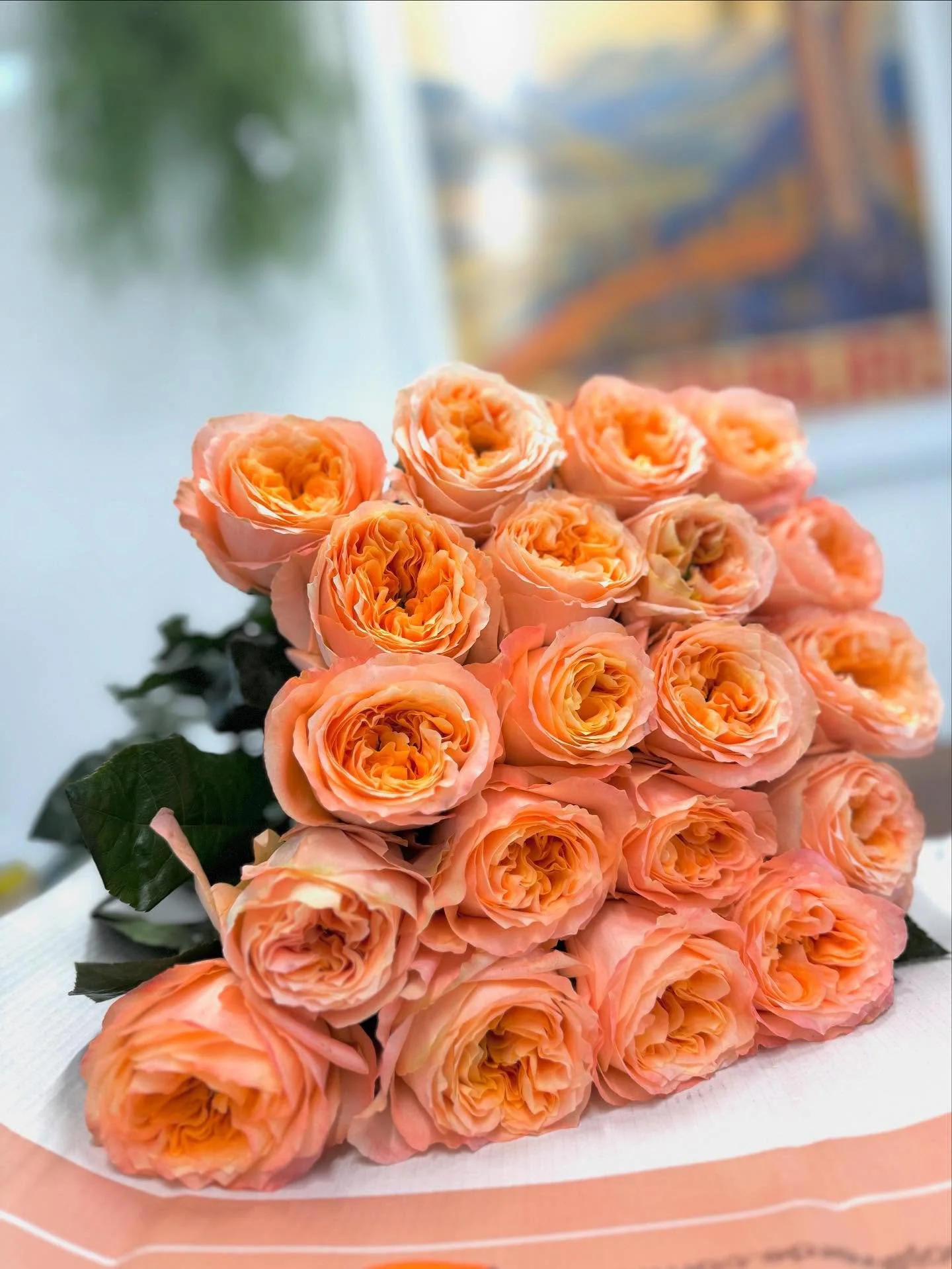 Wie findest du unsere brandneue Sorte Meon Xpression? 🤗