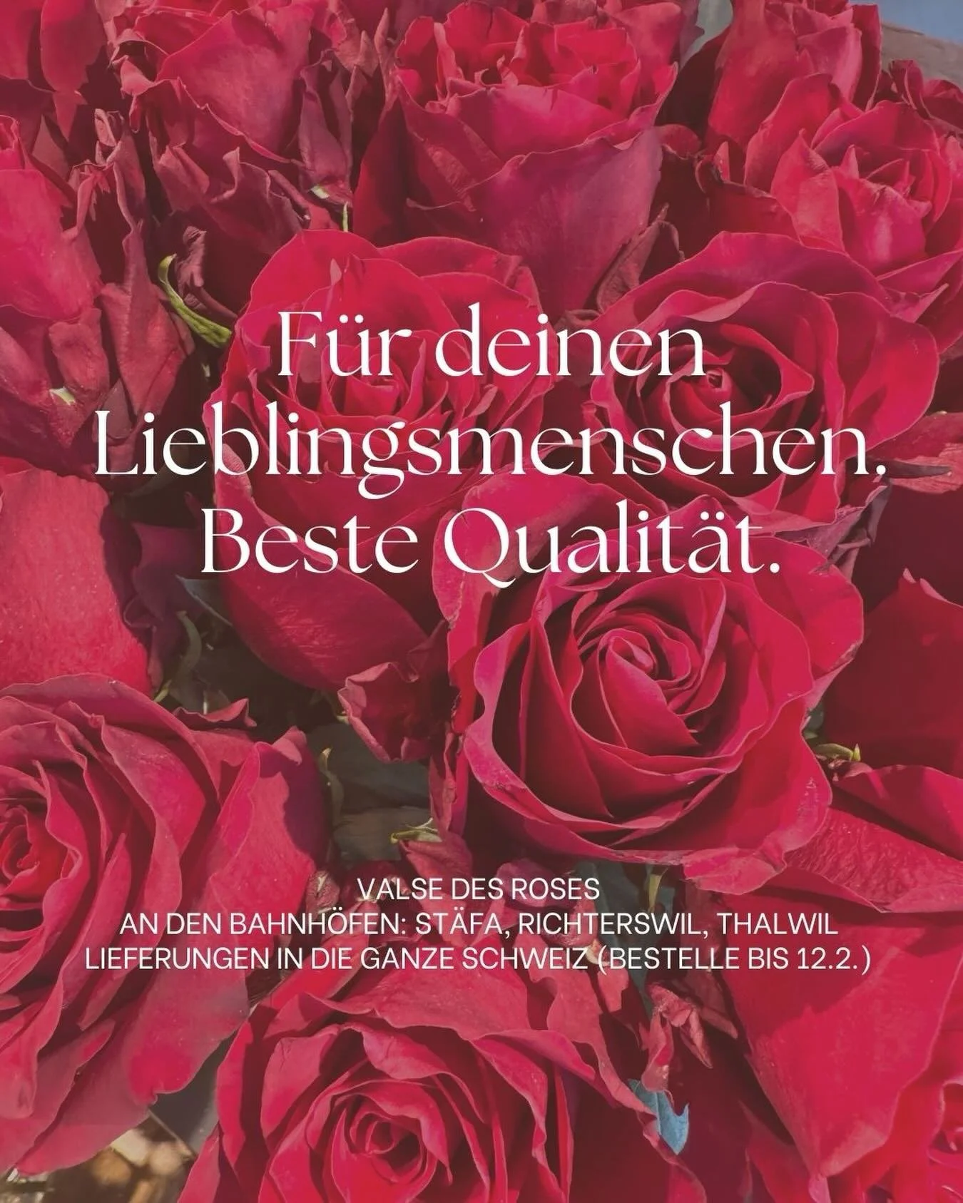 Zum Valentinstag die K&ouml;nigin der Blumen &ndash; in bester Qualit&auml;t.
Unsere Boutiquen sind am Samstag von 8:30 bis 17:30 ge&ouml;ffnet. Fr&uuml;h vorbeikommen oder im Online-Shop vorbestellen.