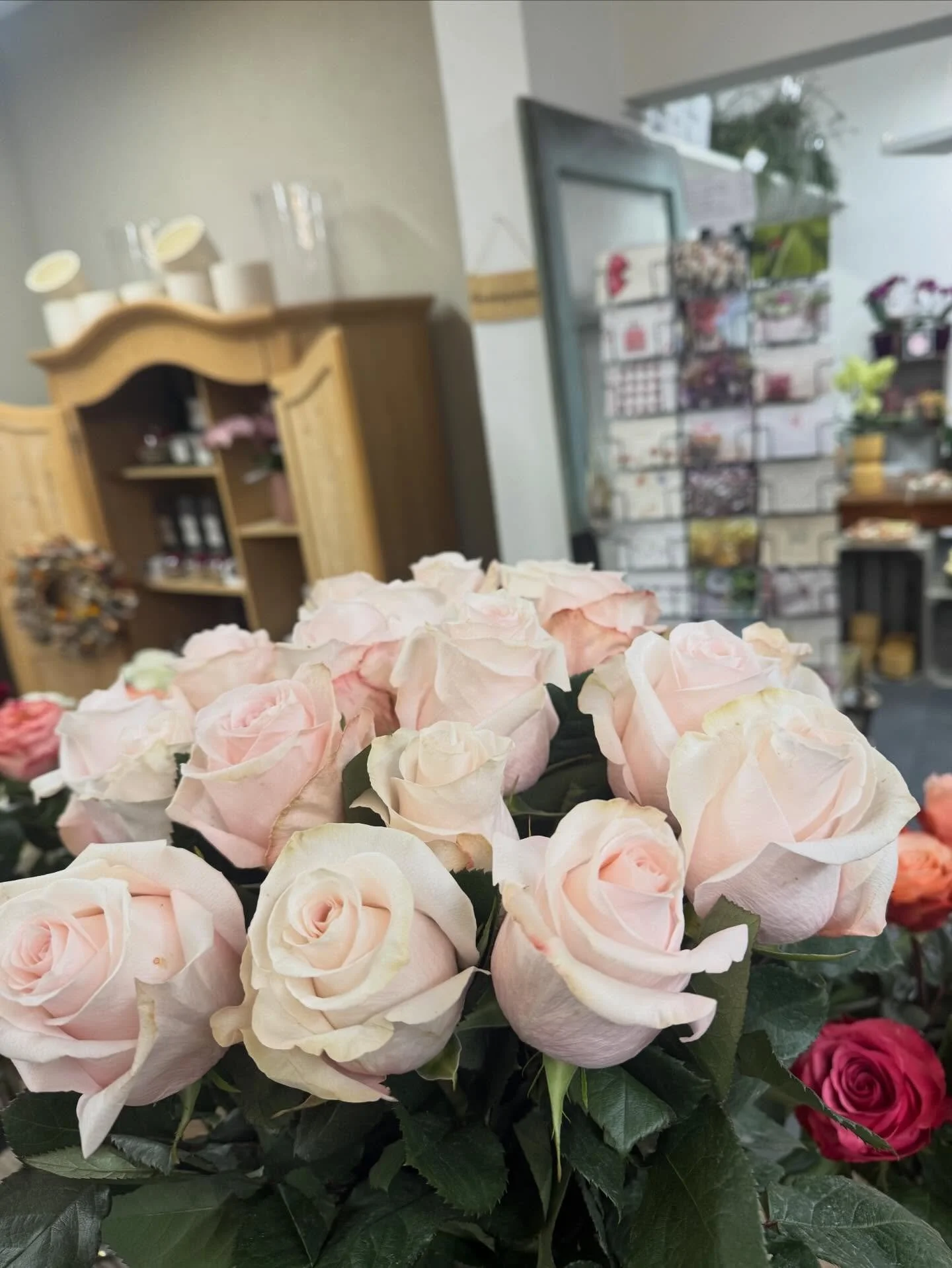 Einen wundersch&ouml;nen Tag f&uuml;r dich! 🌸🌸🌸