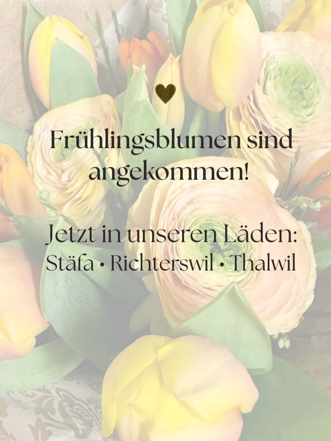 🌷 Fr&uuml;hlingsblumen sind angekommen!
Komm vorbei in Richterswil, St&auml;fa oder Thalwil und entdecke unsere frischen Fr&uuml;hlingsblumen. Wir freuen uns auf dich! ☀️🌷