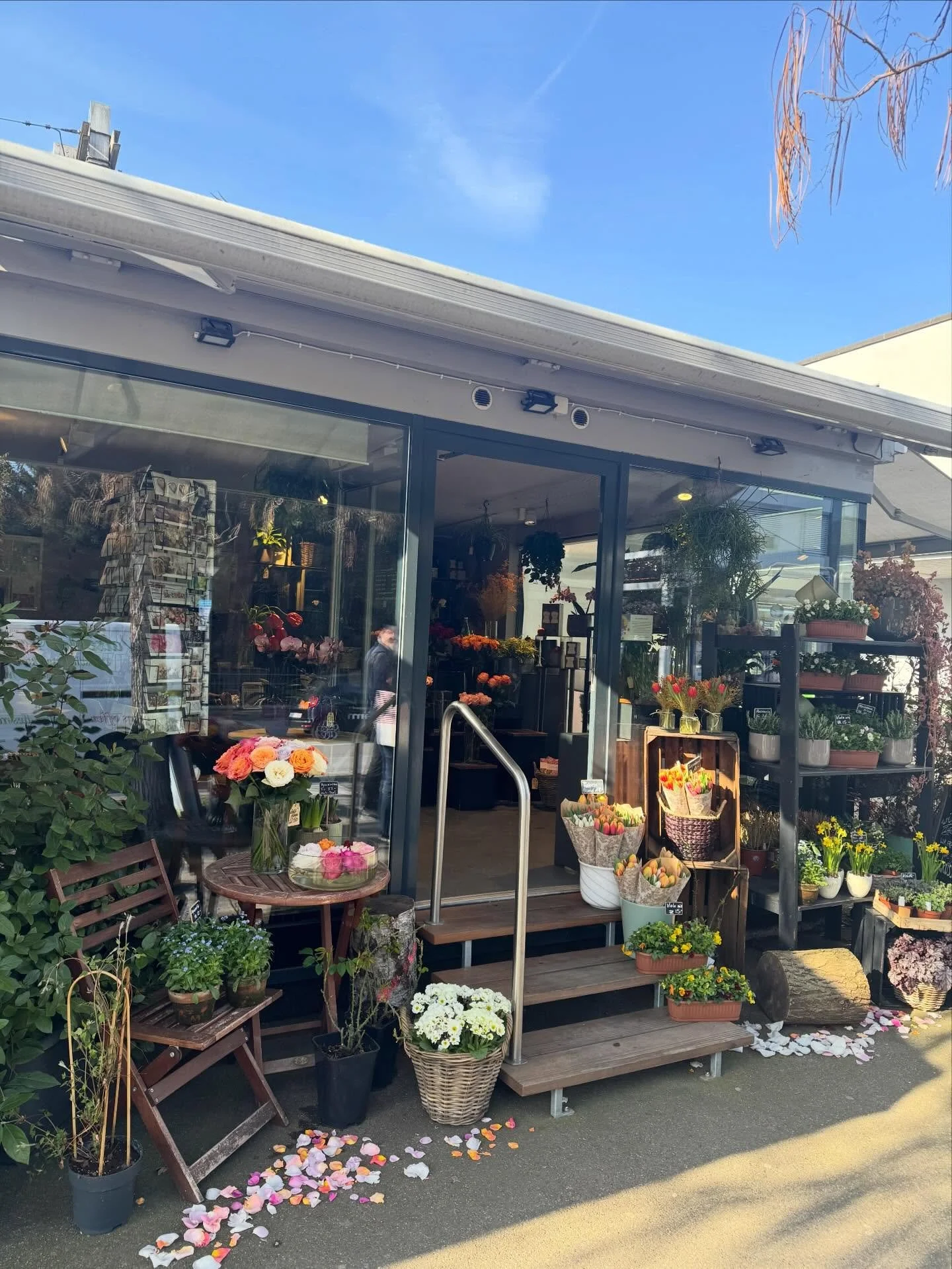Unser Laden in Thalwil am Bahnhof 😍
Unsere Floristinnen Flo und Suvathi haben eine kleine Rosen-Oase kreiert &ndash; voller Farben, D&uuml;fte und Fr&uuml;hlingsgef&uuml;hl. 🌹✨ #thalwil #rosen #wirliefernrosen