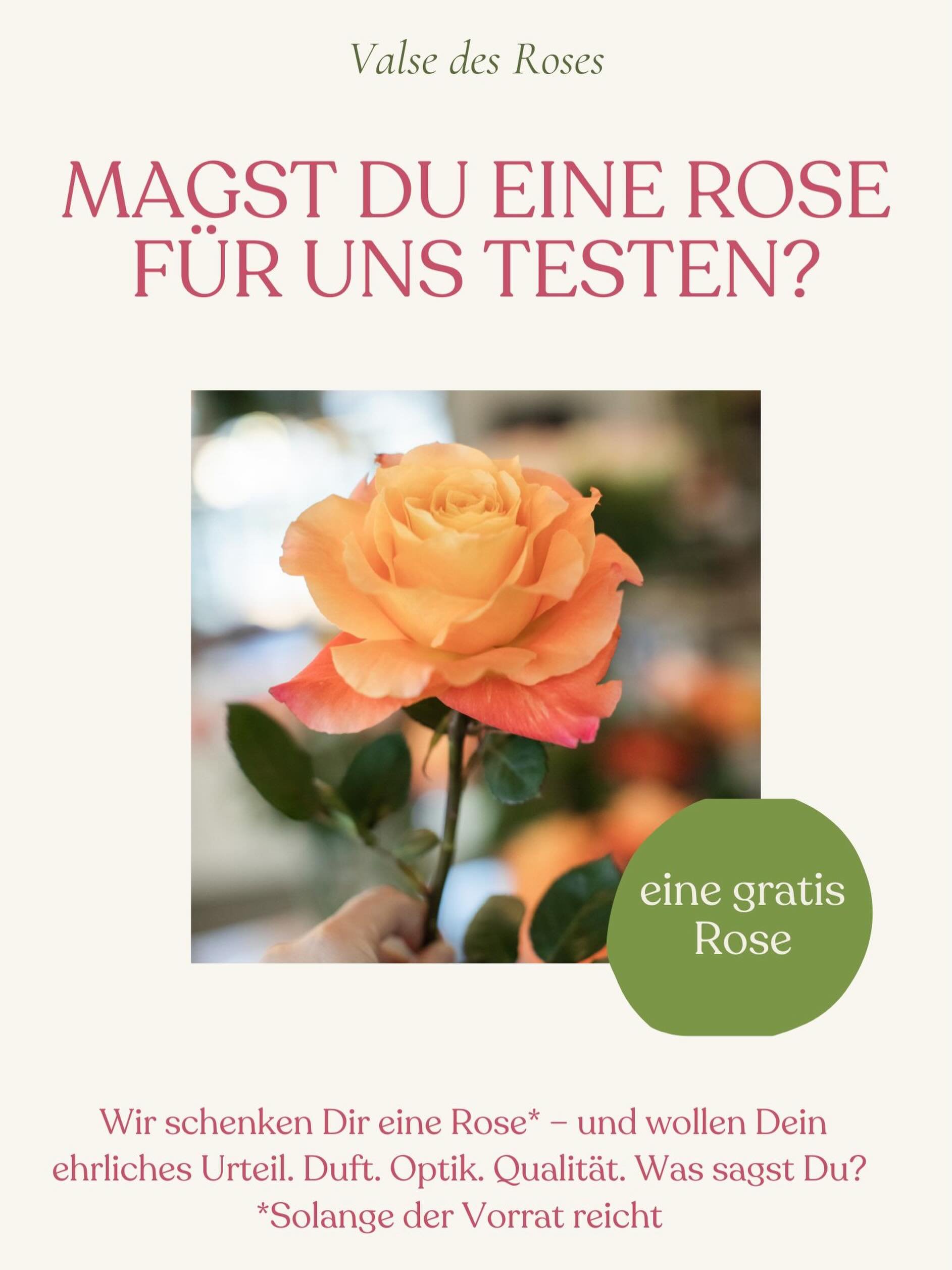 🌹 Eine Rose f&uuml;r dich &ndash; gratis.
Wir schenken dir eine Rose* &ndash; und wollen dein ehrliches Urteil. Duft. Optik. Qualit&auml;t. Was sagst du?
Komm vorbei, nimm dir eine Rose und lass es uns wissen. Deine Meinung z&auml;hlt &ndash; denn w
