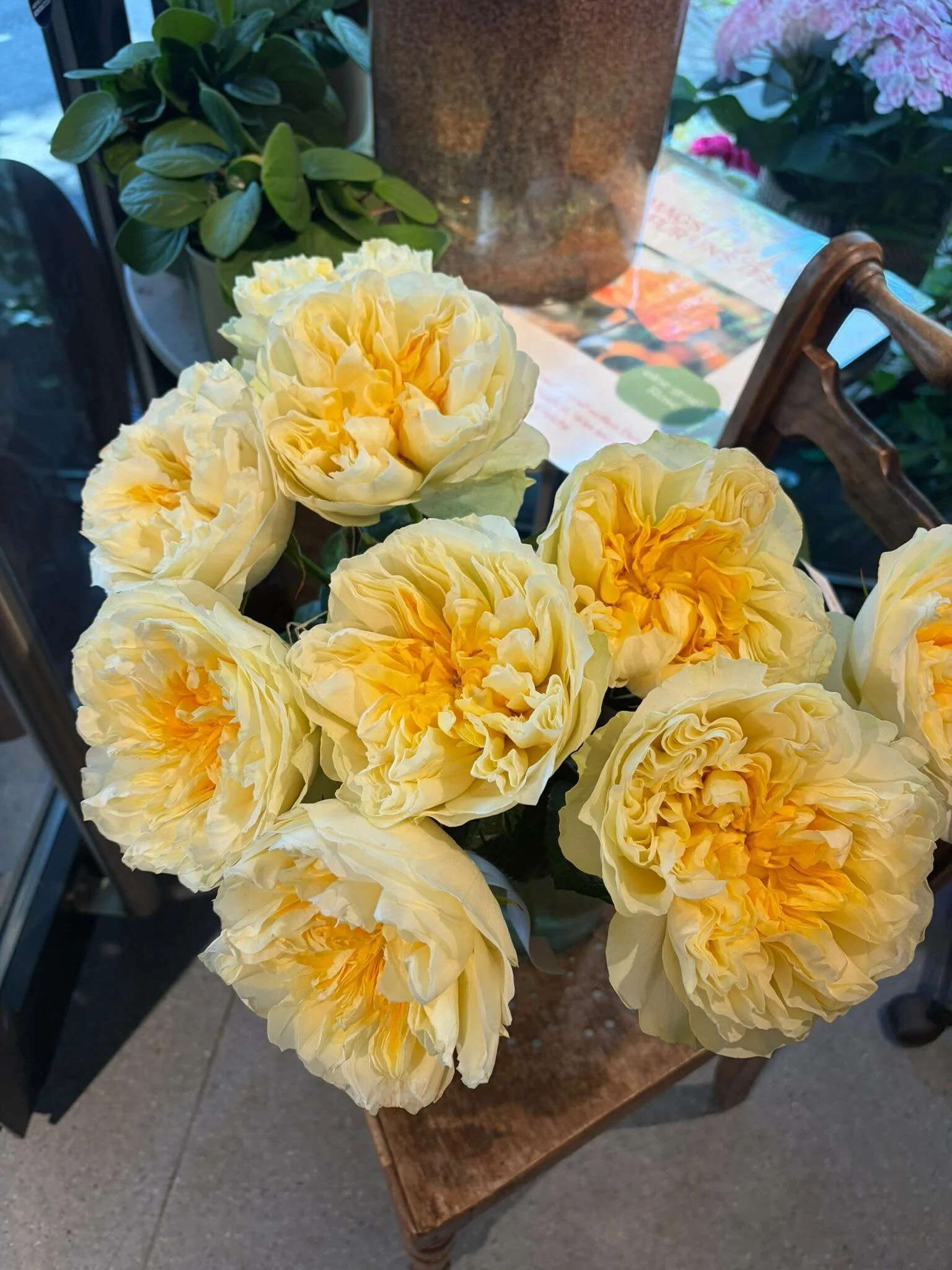 Nicht jede Rose schafft es in unsere Boutique.
Gerade testen wir neue Sorten &ndash; und sind gespannt, wer uns &uuml;berzeugt. 🌸
Bleibt dran.