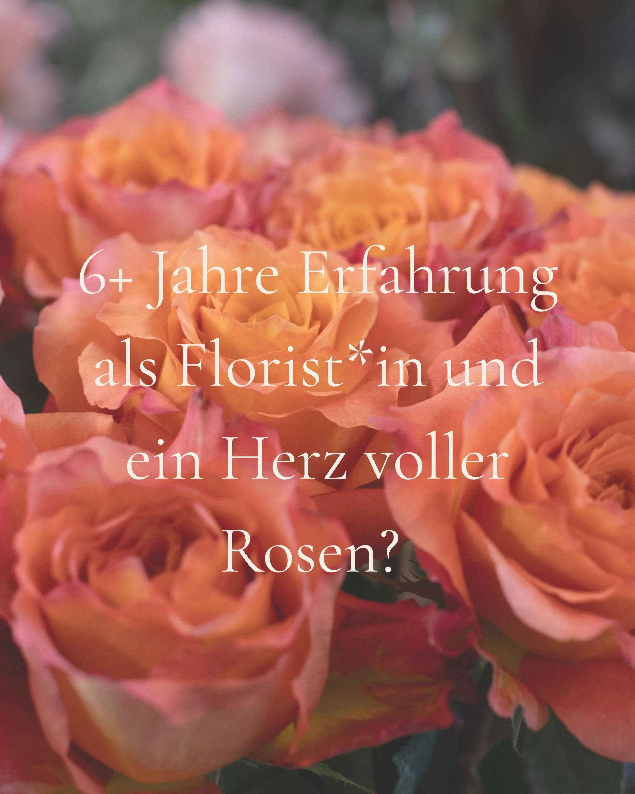 🌸 Du bist gelernte Floristin, hast schon mehr als 6 Jahre Erfahrung gesammelt und liebst die Arbeit mit Blumen genauso wie den Kontakt zu Kund*innen? Dann lass uns reden.
Was wir dir bieten: ✨ Faire, angemessene Entlohnung ✨ 6 Wochen Ferien pro Jahr