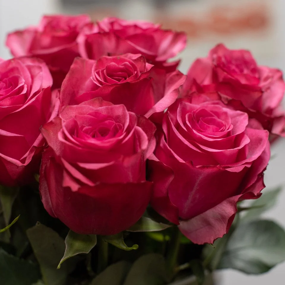 Rosen Lola (50 cm), ab 9 Rosen