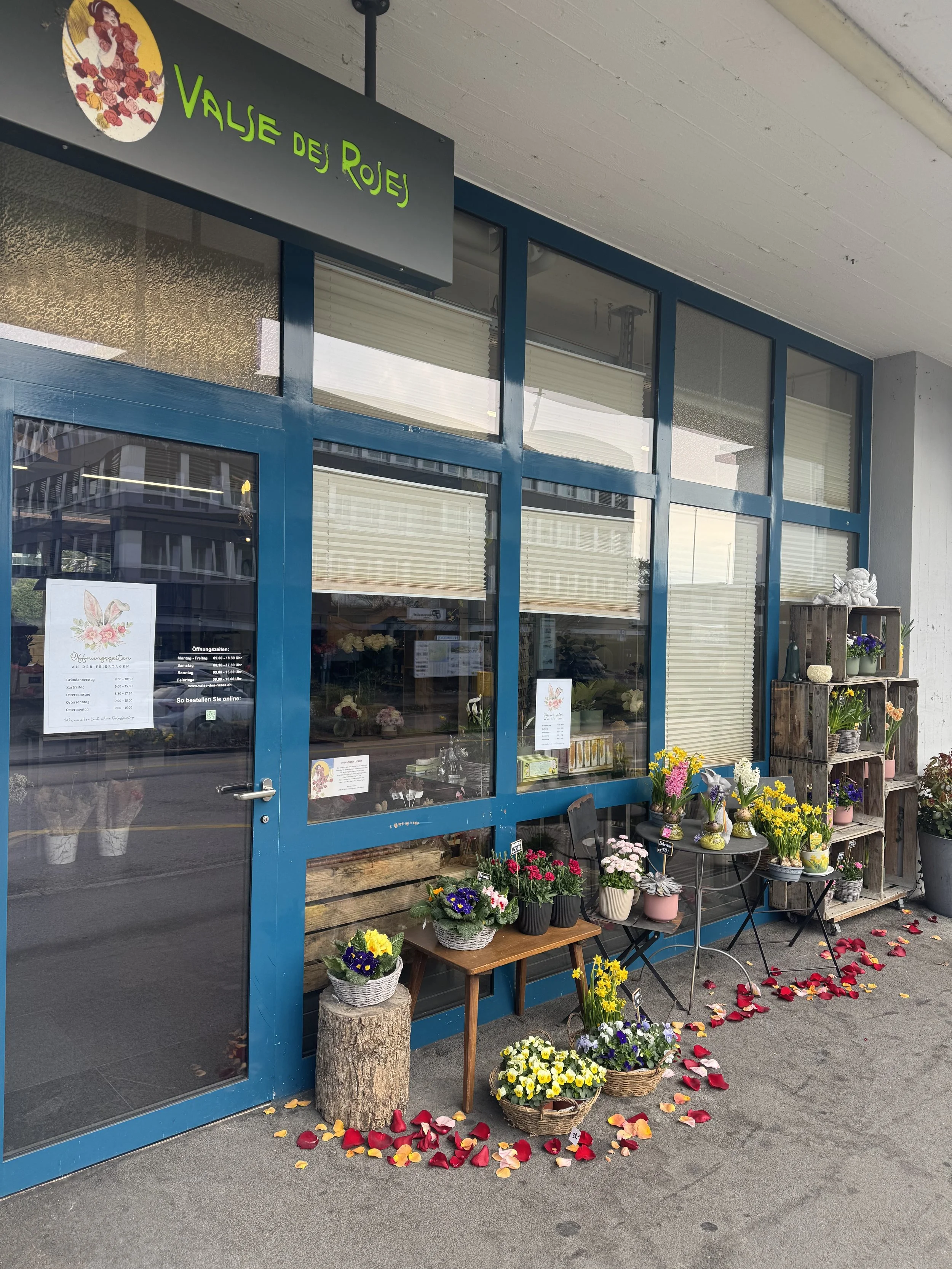 Am Bahnhof Stäfa, wunderschöne Rosen