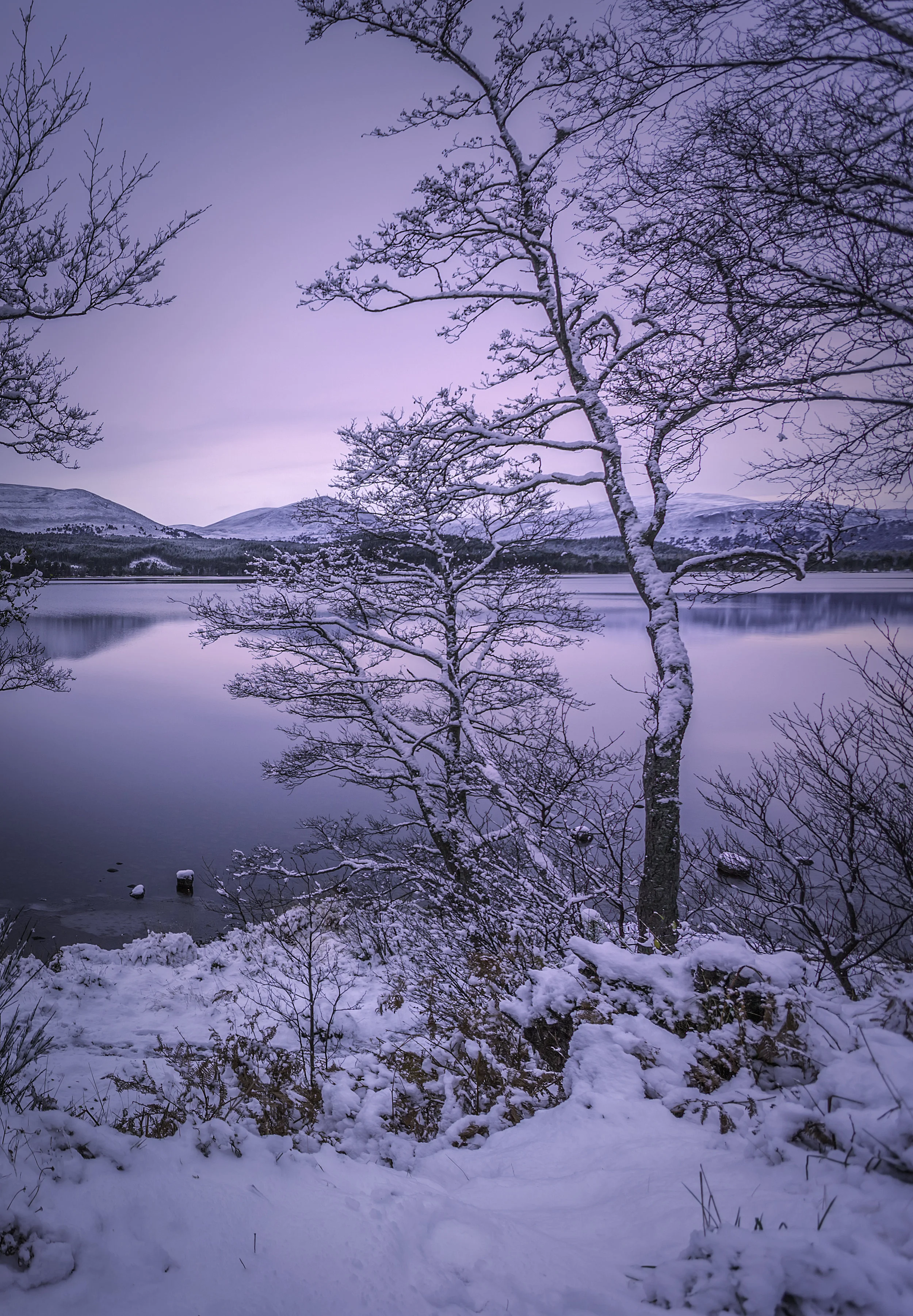 Loch Morlich First Snow 2015.jpg