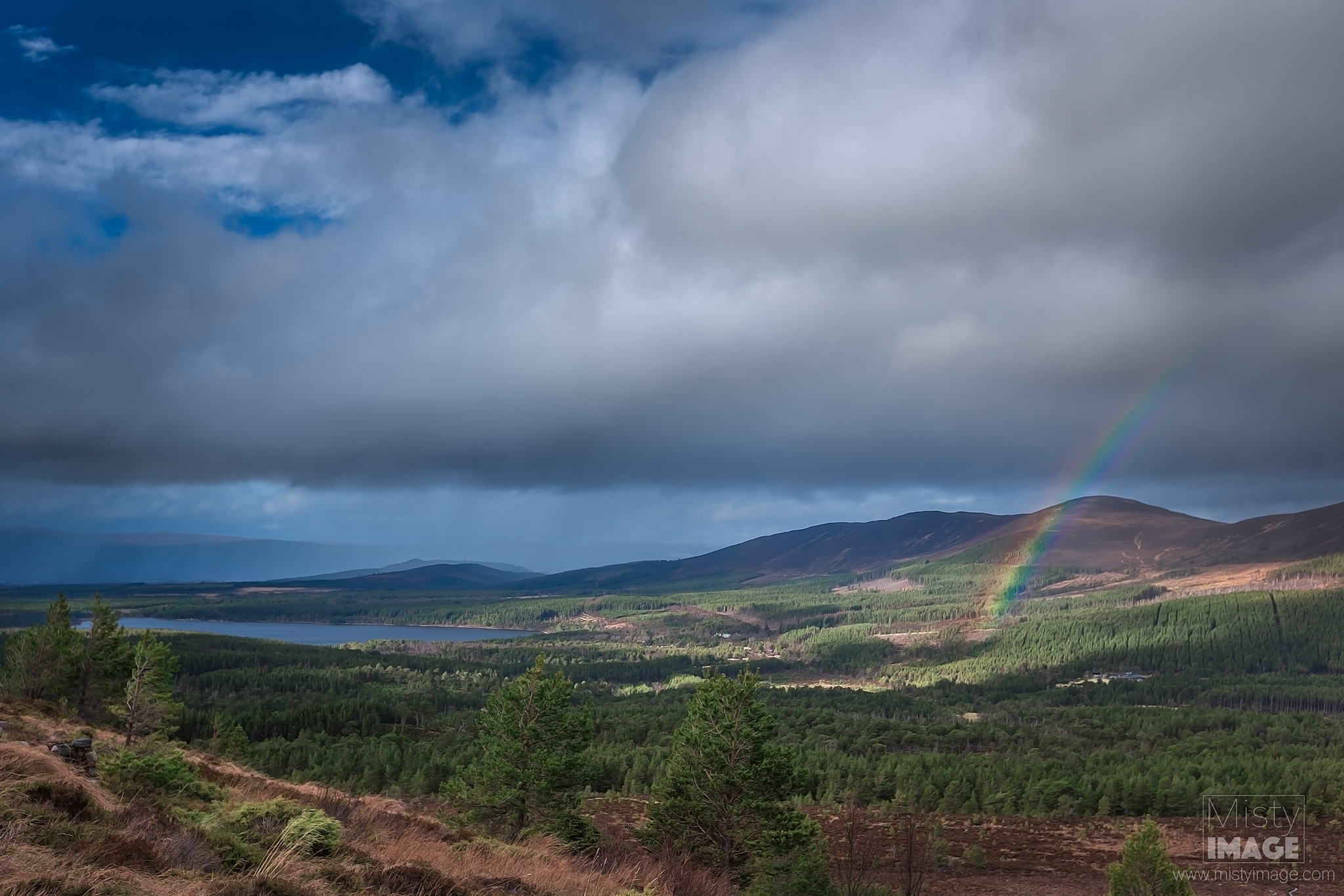 Loch Morlich - The View.png