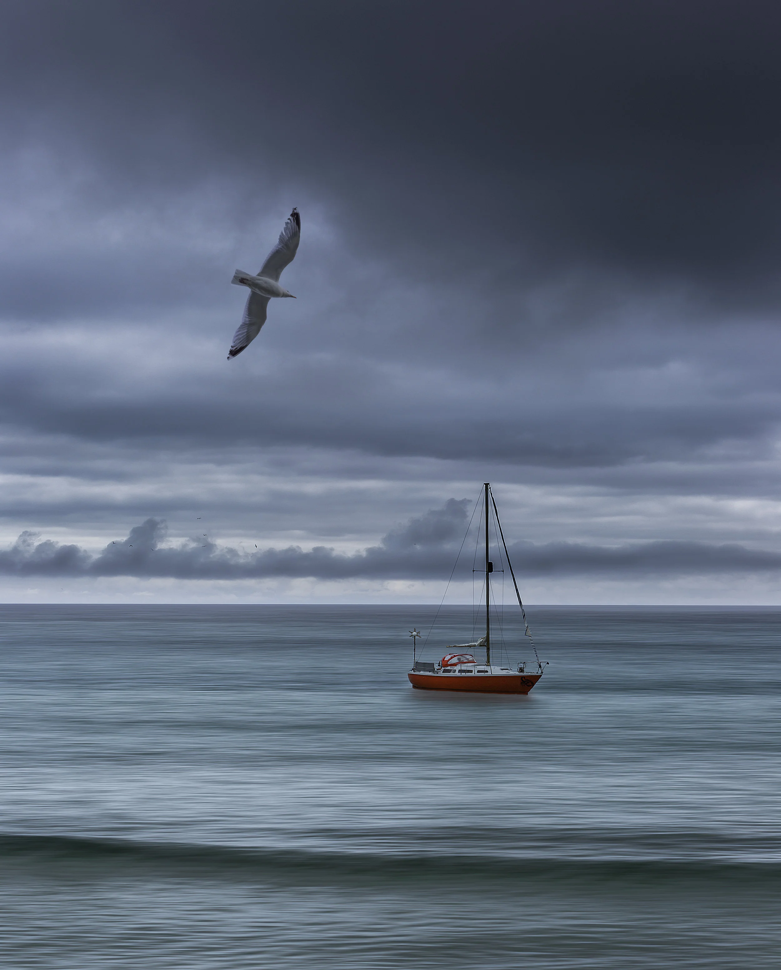 Yacht & Gull.jpg
