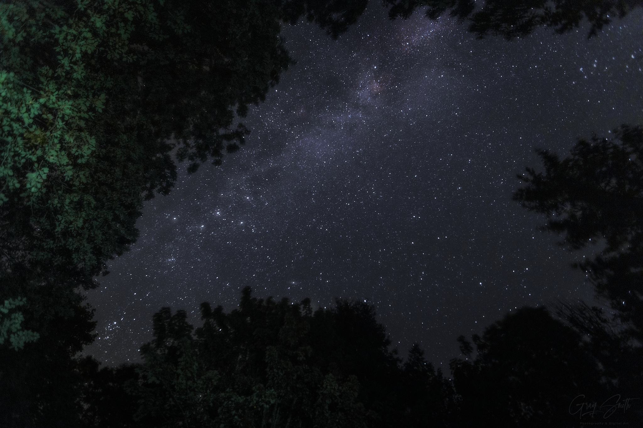 The Night Sky 3.png