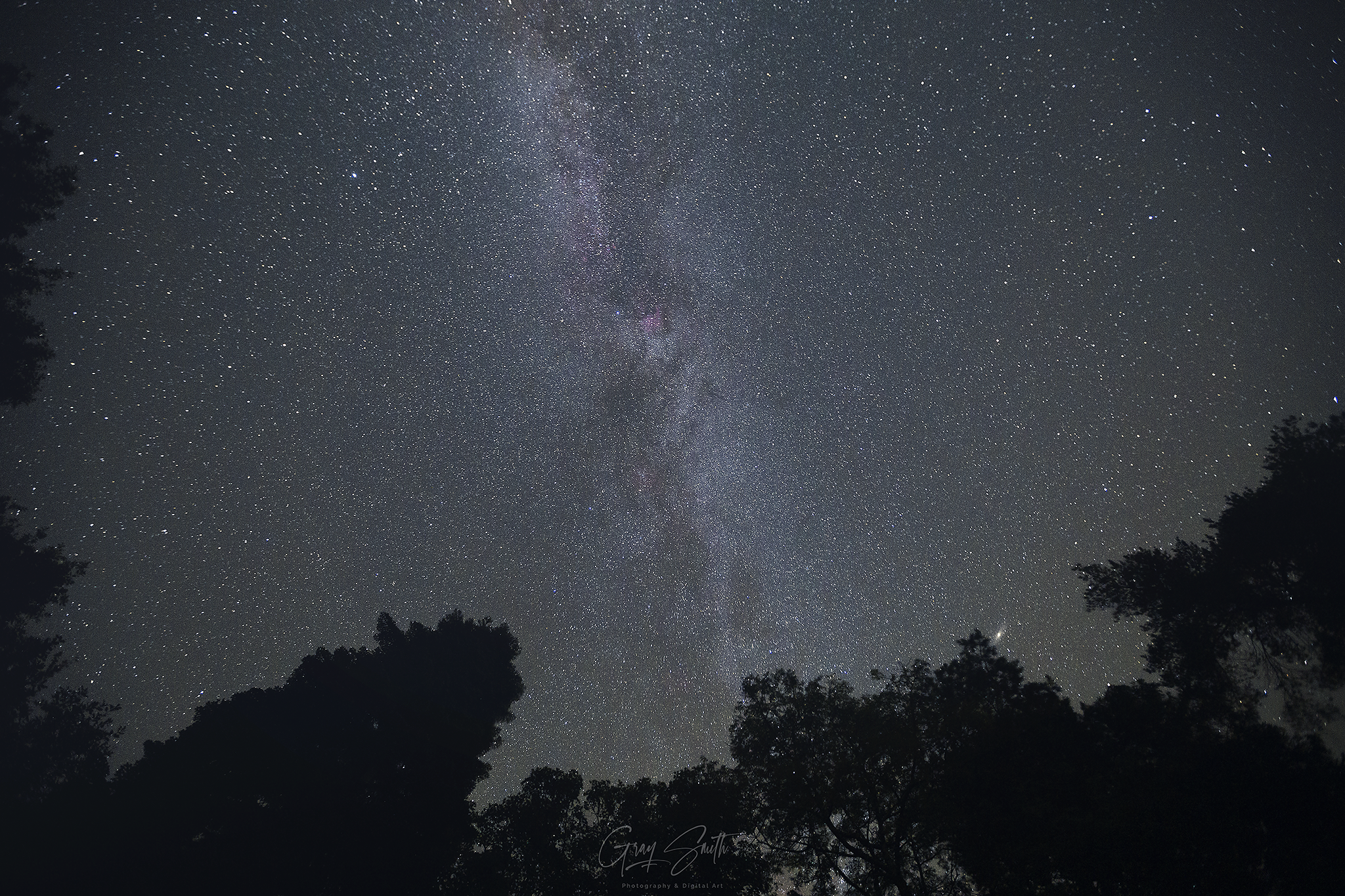 North American nebula copy.png