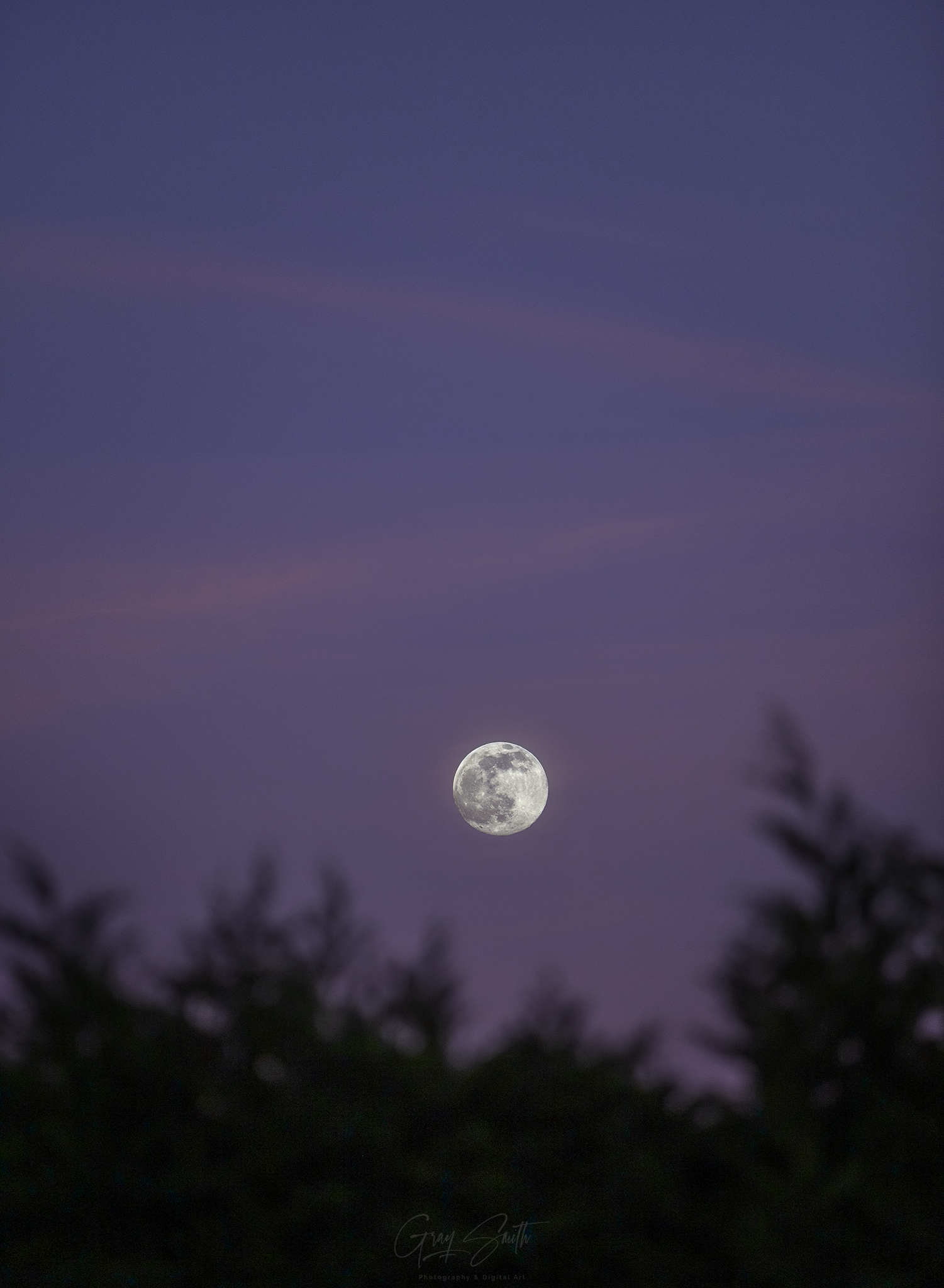Moon Shot.png