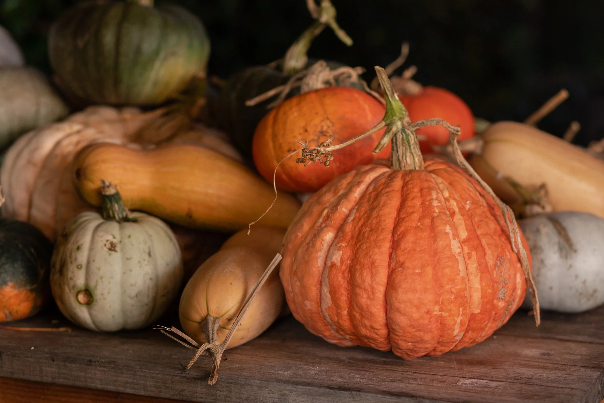 TheFoodFarm_BookCoverShoot-78.jpg