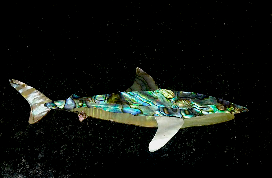 Shark 2.png