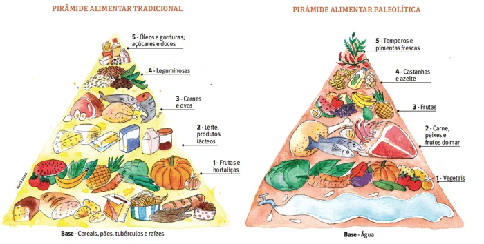 Comparação da dieta Tradicional com a Paleolítica. 