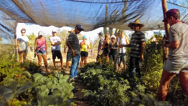 garden-classes-la-paz-mexico.jpg