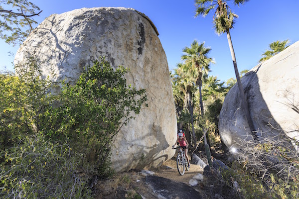 mountain-biking-la paz.jpg