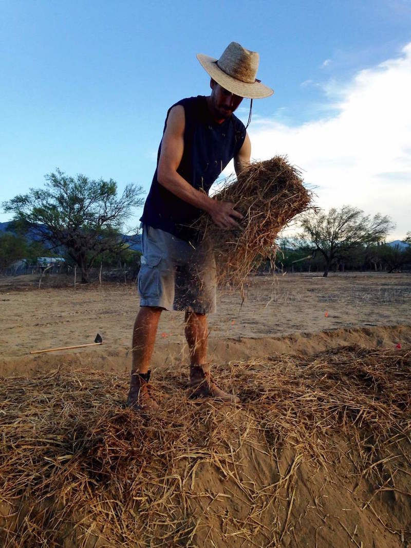 drought-tolerant-farming-mexico