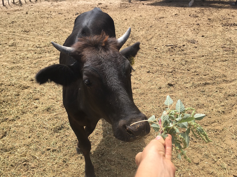 Baja Ranch Ecotourism