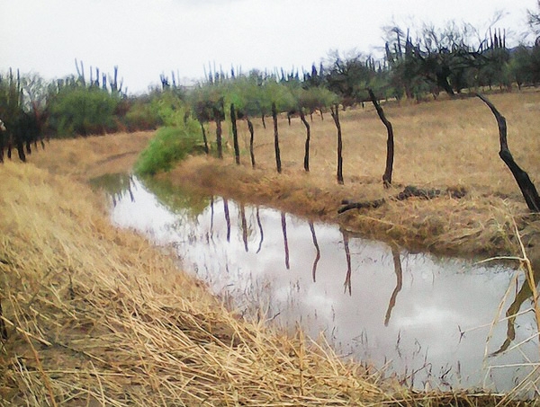 drought-farming-techniques-mexico