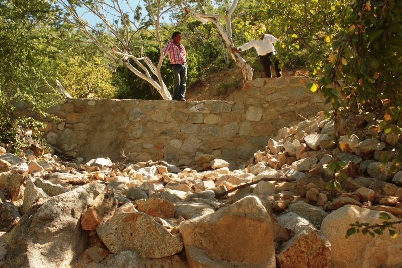 responsible-land-management-mexico.jpg