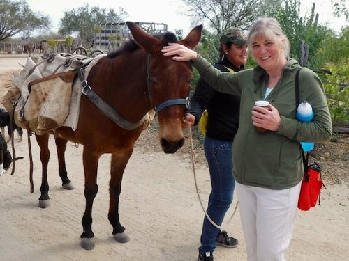 Excursiones a Caballo, Baja