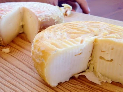 Producción de Quesos Artesanales