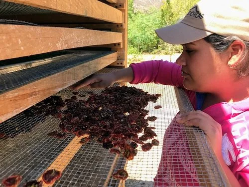 Conservas y Frutos Secos — Rancho El Sargento