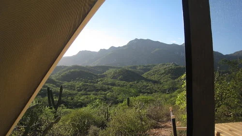 campamento-tiendas-campismo-mexico.jpeg